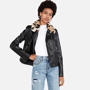 Express Leopard Collar Moto Jacket